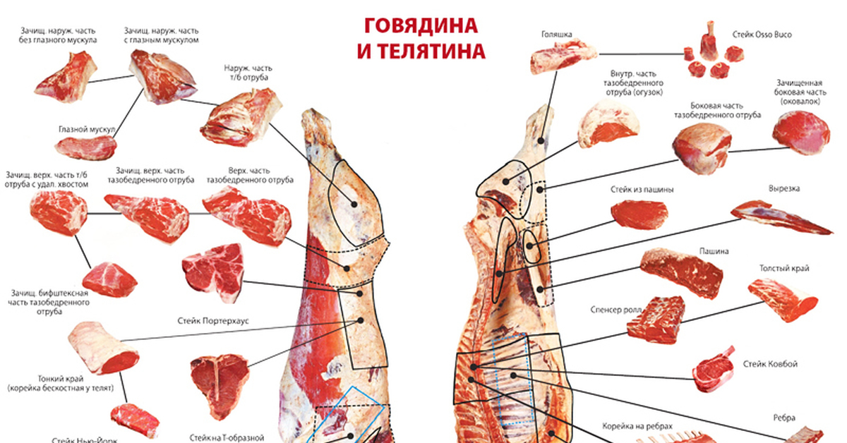 Сколько вырезок в говядине. Части туши телятины схема. Схема разделки телячьей туши. Схема разруба мяса говядины.