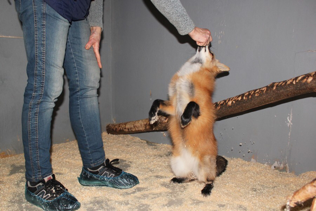 �������� ����� ������������� ����� � ���