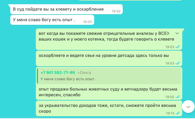 Осторожно: заводчица-мошенница разводит больных котят Мошенничество, Абиссинская кошка, Недобросовестный заводчик, Панлейкопения, Негатив, Длиннопост
