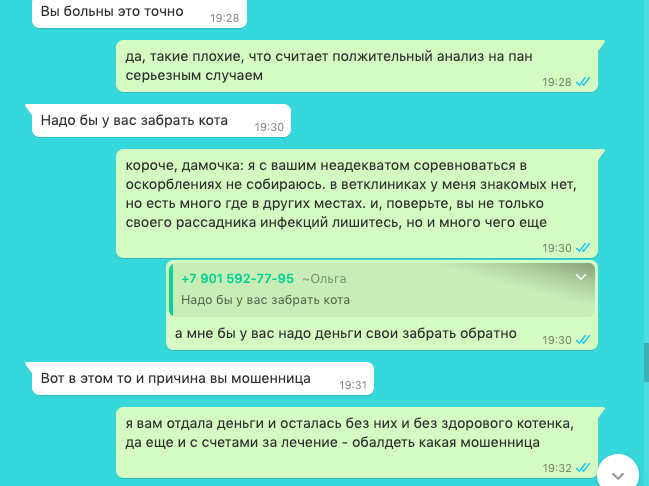 Осторожно: заводчица-мошенница разводит больных котят Мошенничество, Абиссинская кошка, Недобросовестный заводчик, Панлейкопения, Негатив, Длиннопост