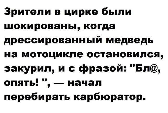 Случай в цирке | Пикабу