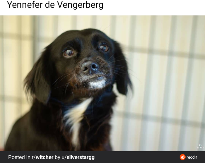    , , , 