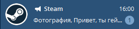        Steam, Telegram, 