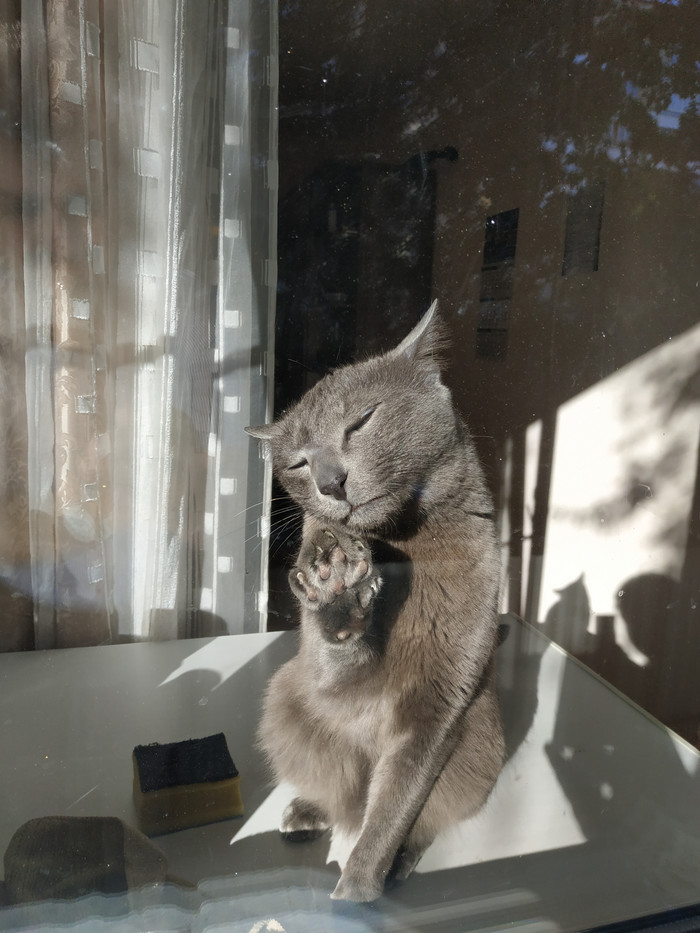 �������� �� ������� "�����" (� ����� ��������)