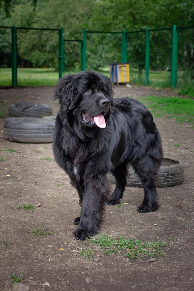 �� ����� ������ ��� ����� � ������������