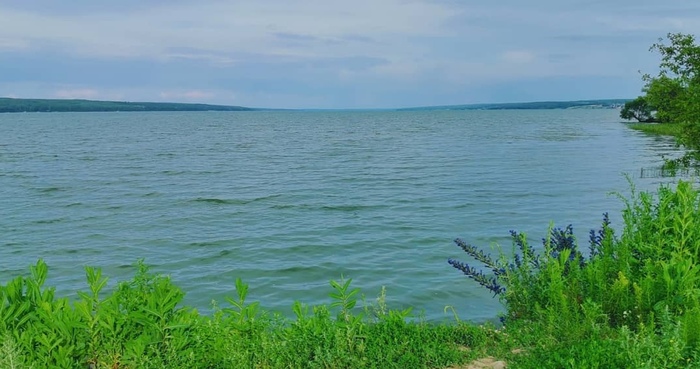 Поездка на дачу Природа, Пенза, Дача, Красота, Закат, Фотография, Мобильная фотография, Длиннопост