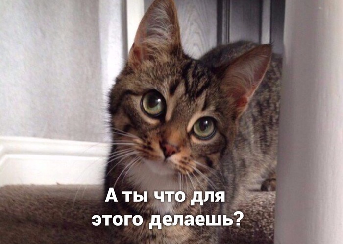1594557920144198577.jpg