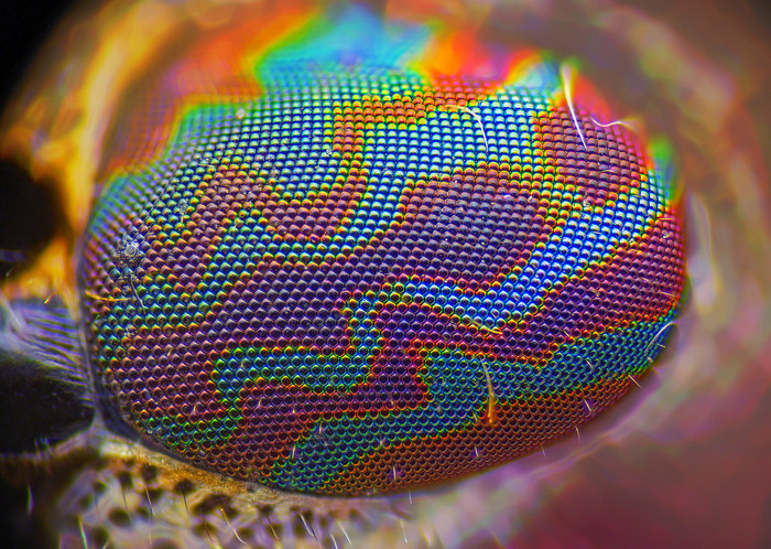 Многослойное просветление оптики