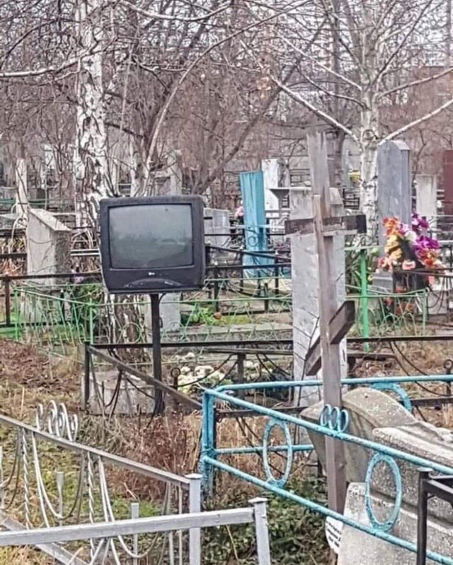 Интересно, это что такое?) | Пикабу