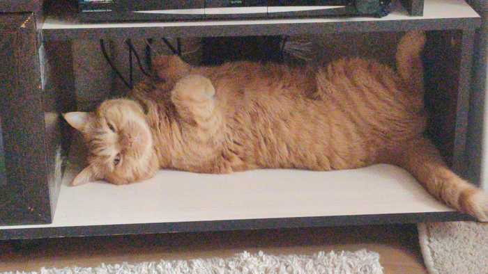 ������ ���