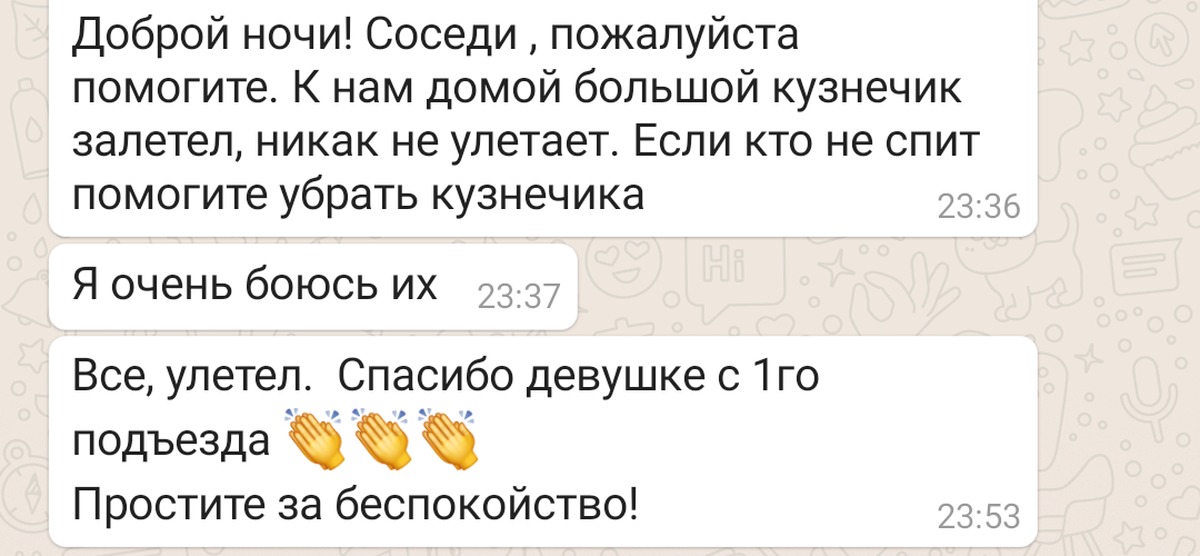 Общедомовой чат жителей. Чат соседей. Чат соседей прикол. Чат соседей по дому. Шутки про соседский чат.