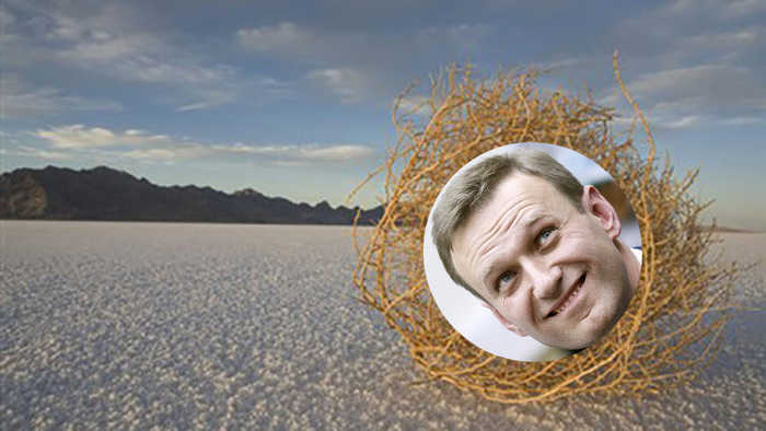 Митинги, Хабаровск, весь ютуб на ушах несколько дней, и между делом...