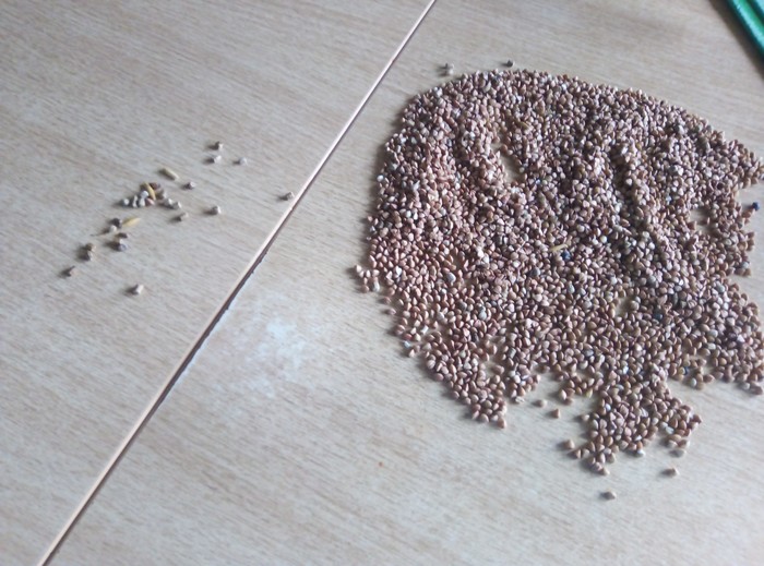 ��������������� �������