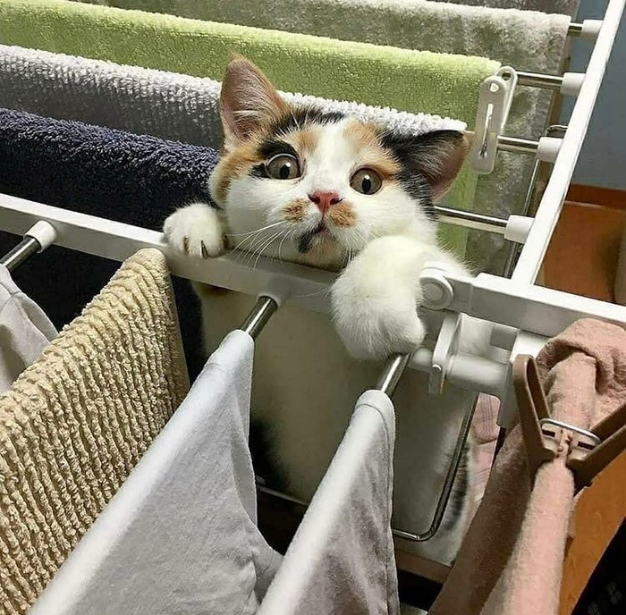        ? ,   , , 