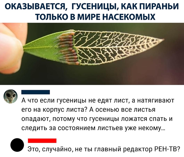 ����� ������ � �� ������