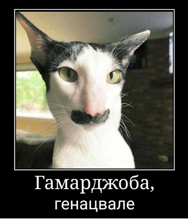 Немного о подмышечных пиписях и пиписечной лотерее от Мамы Стифлера