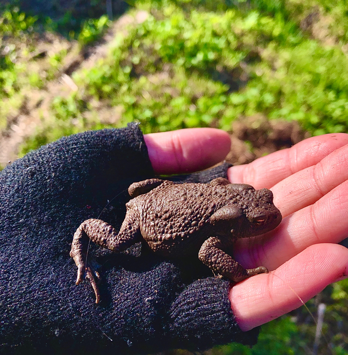 ПОХУДЕНИЕ И РОДСТВЕННИКИ