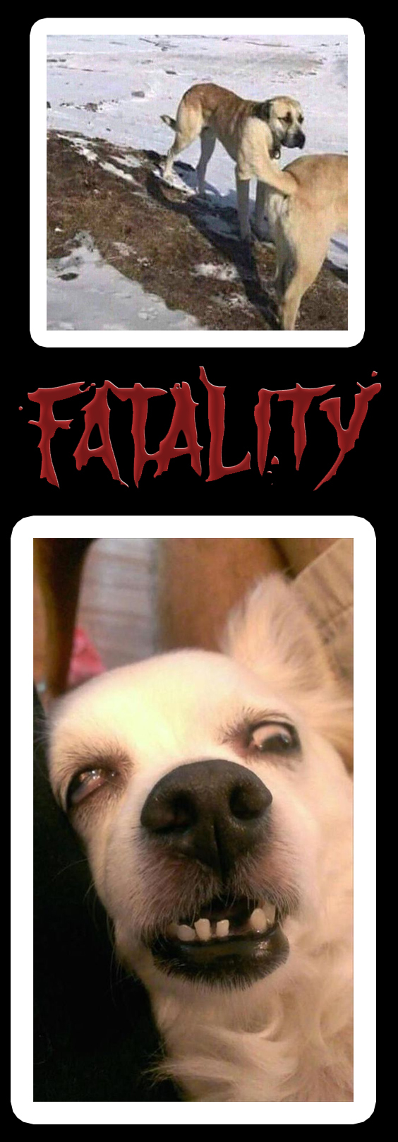 Fatality!  , Fatality, 
