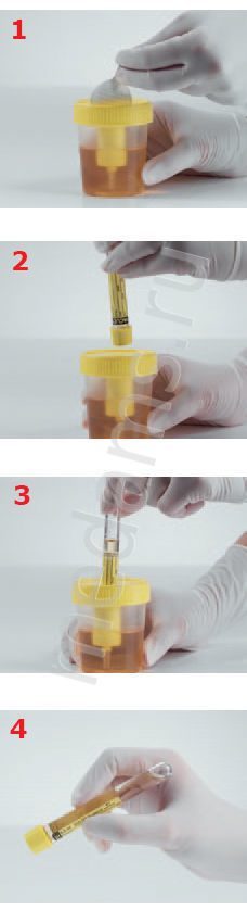 Пробирка друга