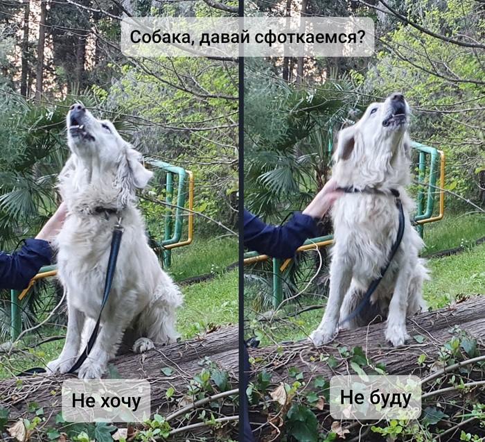 у всех есть такой друг который испортит фотографию. Смотреть фото у всех есть такой друг который испортит фотографию. Смотреть картинку у всех есть такой друг который испортит фотографию. Картинка про у всех есть такой друг который испортит фотографию. Фото у всех есть такой друг который испортит фотографию
