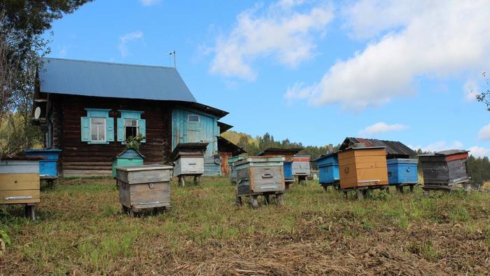 Отшельник... Отшельники, Одиночество, Человек, Тайга, Башкортостан, Деревня, Урал, Видео, Длиннопост Отшельник... Отшельники, Одиночество, Человек, Тайга, Башкортостан, Деревня, Урал, Видео, Длиннопост