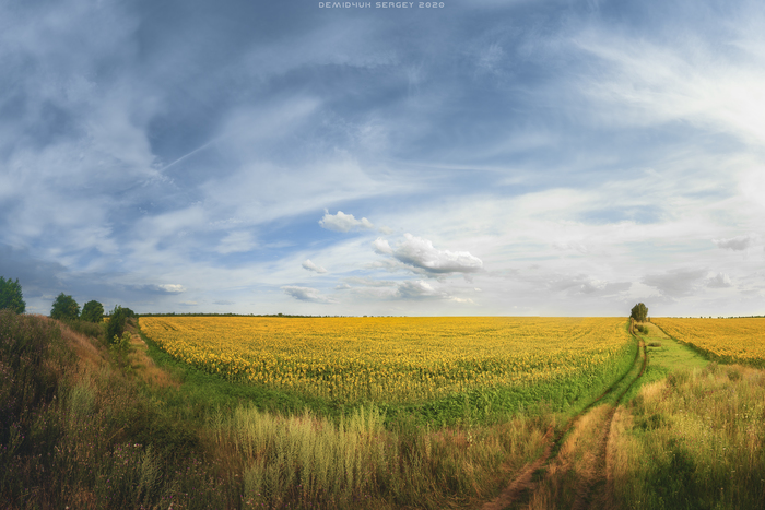 ����, ������ ���� �������� ��������� ))