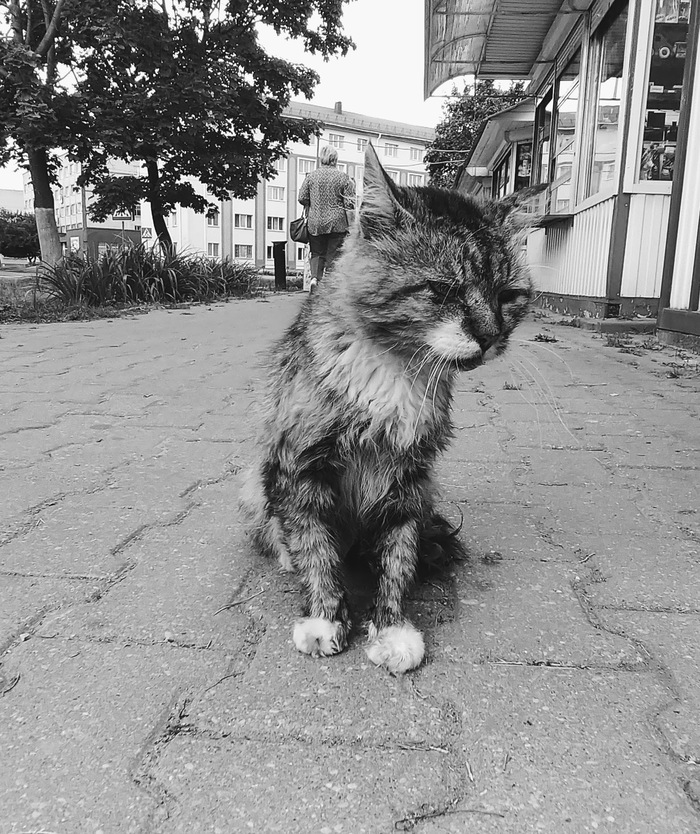 �������