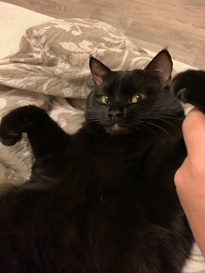 �� ���, ������ ����???