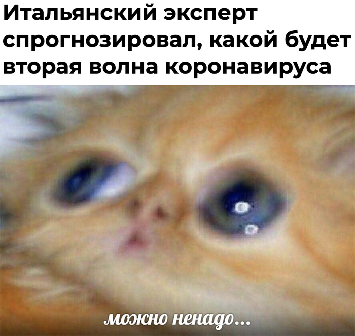 � ���� ��� �� ������ �� ������?