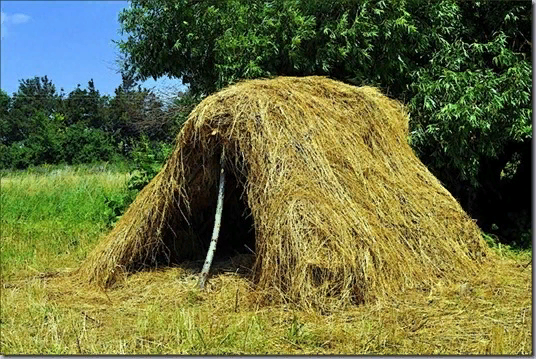 ���� �� ������ 4-5 �����