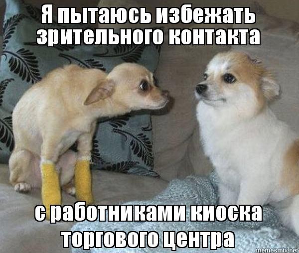       -,  , 