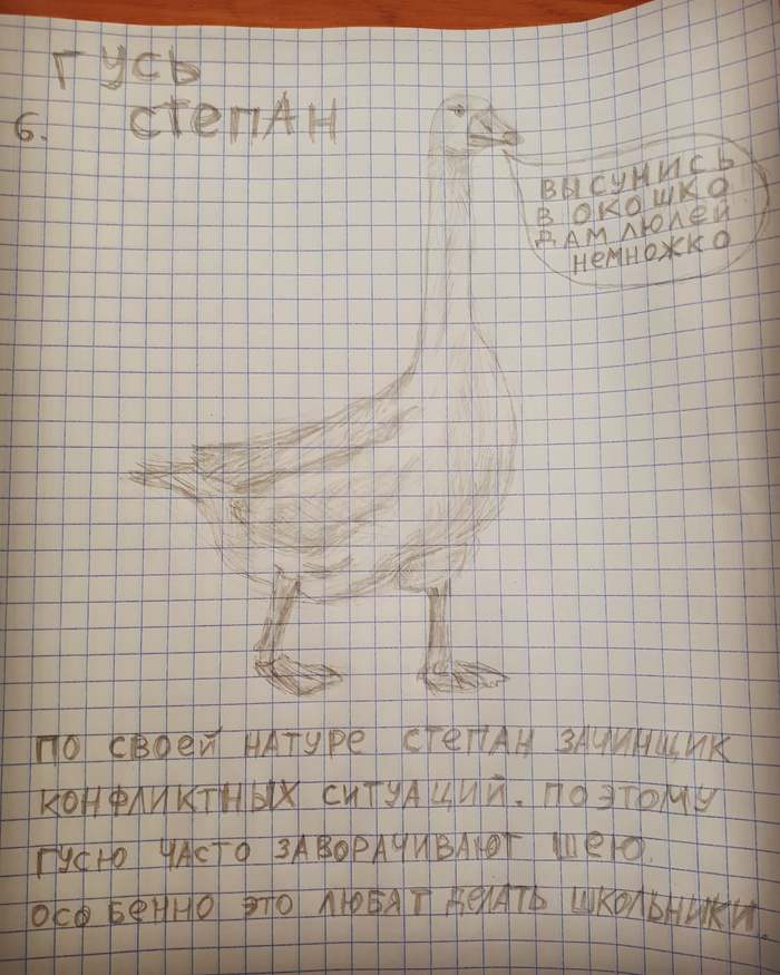 Зоопарк 6. Гусь Степан