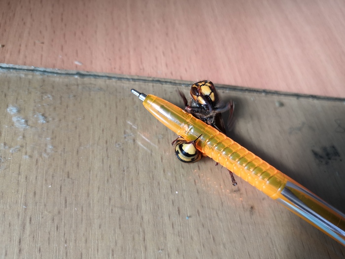    , , , 