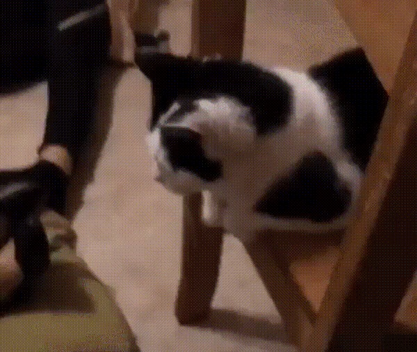 Когда хочется жямкать