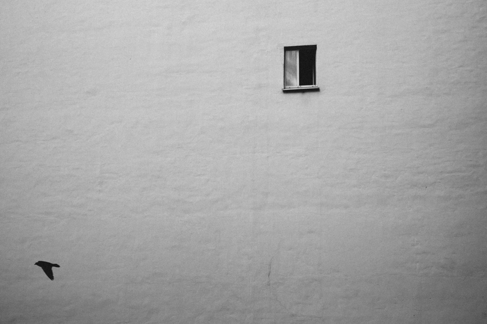 В Петербурге всего хватает