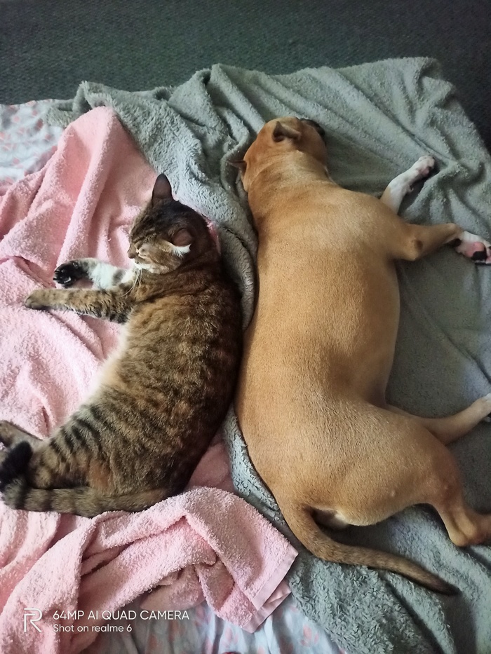 � ������� "��� ����� � �������..."