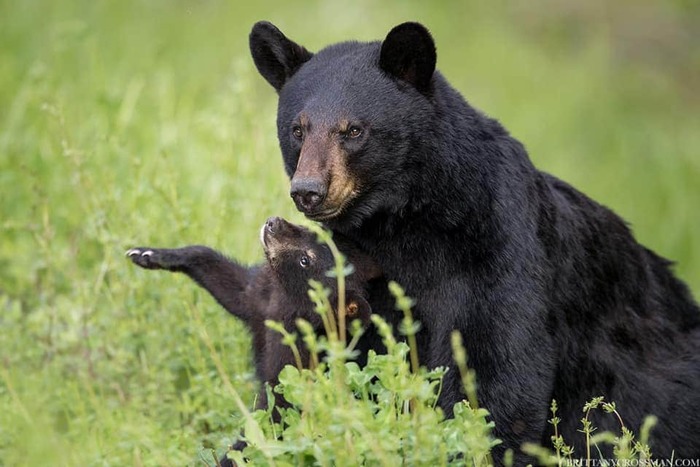 Вон тот меня обзывал
