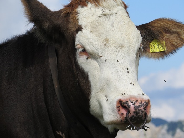 А вас тоже бесит?