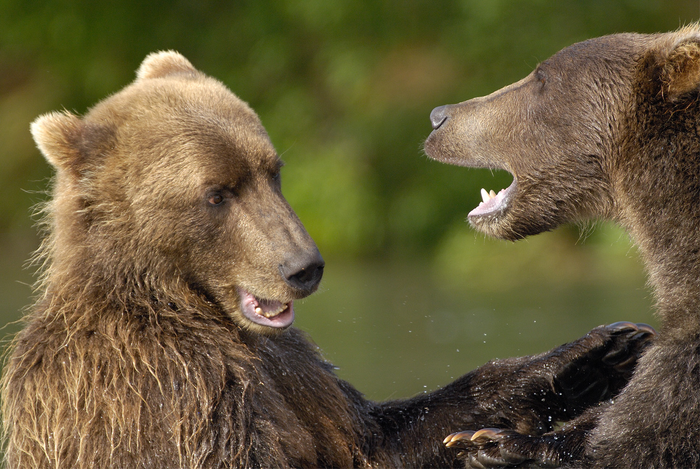 Разговор по душам)
