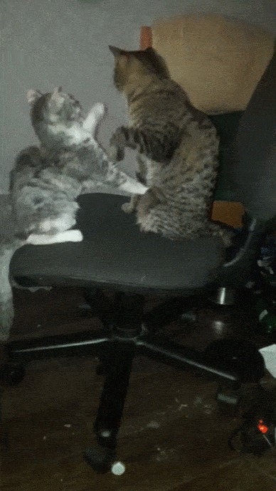 салат царь горы рецепт. Смотреть фото салат царь горы рецепт. Смотреть картинку салат царь горы рецепт. Картинка про салат царь горы рецепт. Фото салат царь горы рецепт салат царь горы рецепт. Смотреть фото салат царь горы рецепт. Смотреть картинку салат царь горы рецепт. Картинка про салат царь горы рецепт. Фото салат царь горы рецепт