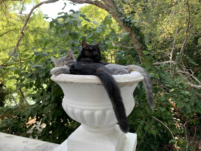 �������� � ��������