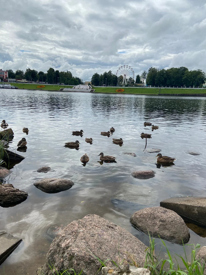Спб карелия на машине