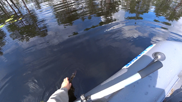 Ловля щуки и окуня на лесном озере Щука, Окунь, Спиннинг, Лодка, Озеро, Видео, Длиннопост