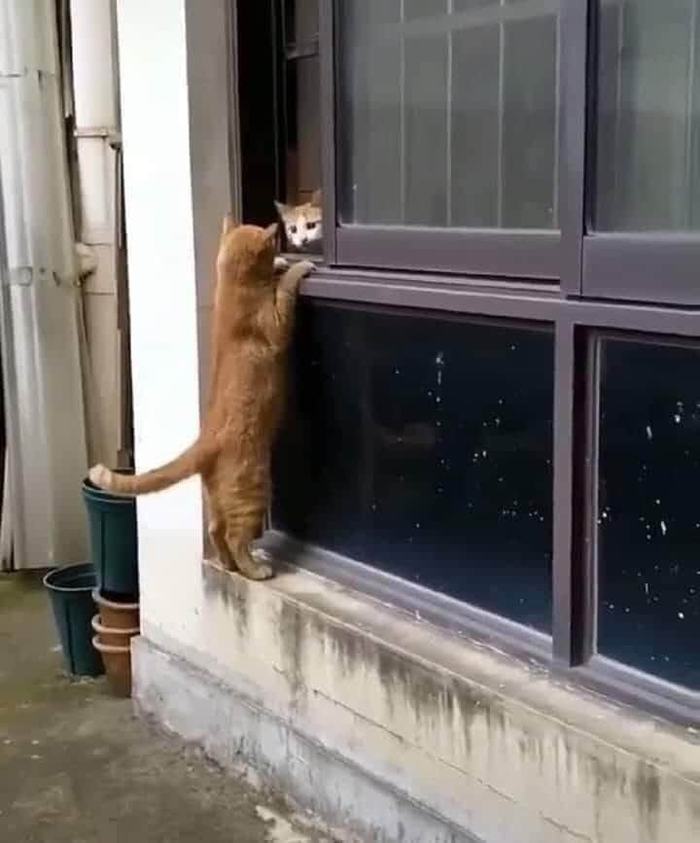 ��� ������