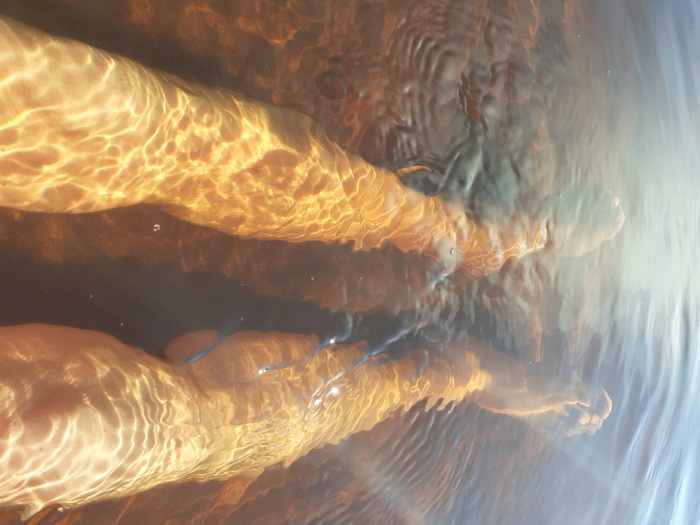 Арктический гектар