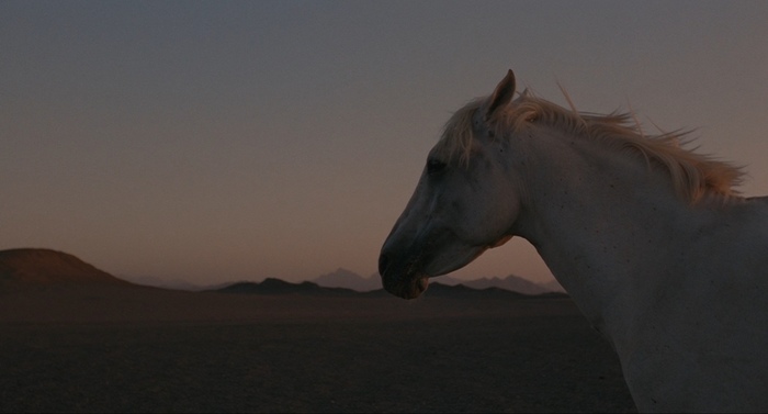 Кино — такое кино Фильмы, Сайт КиноПоиск, Советское кино, Кадр, 20 век, Старые фильмы, Фотография, Актеры и актрисы, Длиннопост