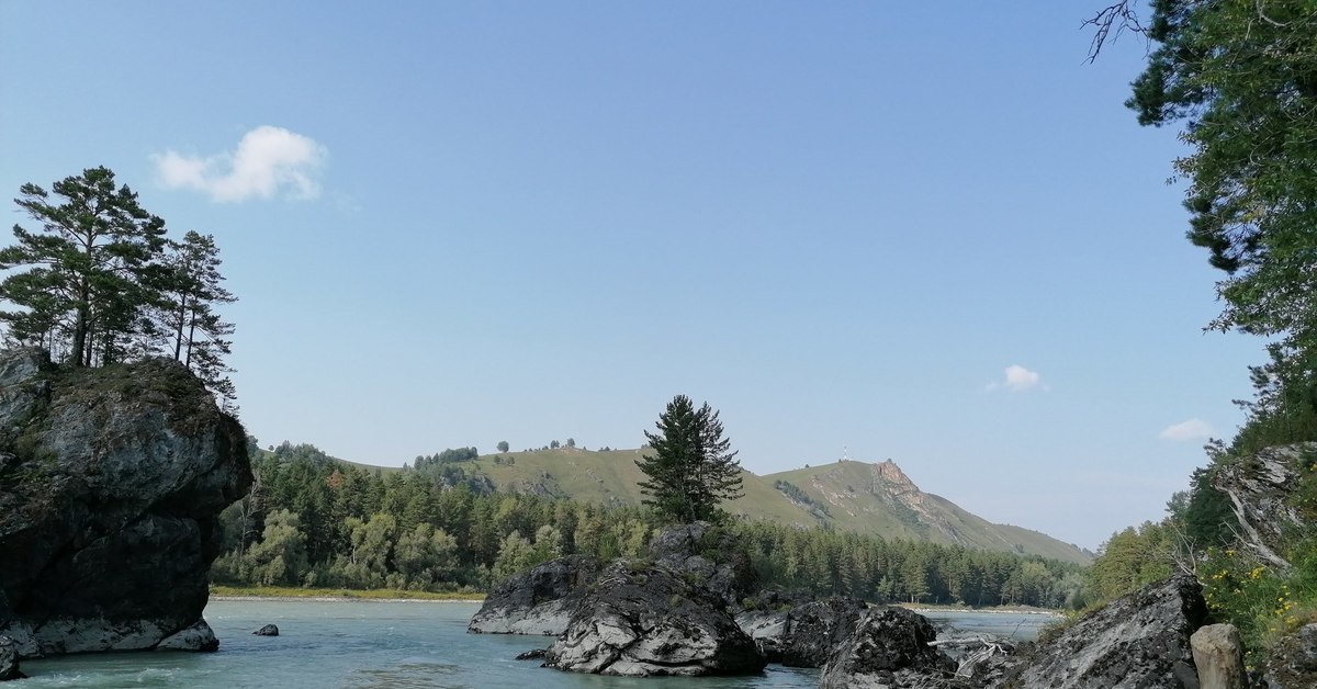 Амур республика алтай. Медвежий остров Алтай Катунь. Чертово озеро Алтай. Фото через реку Катунь в Алтайском крае. Алтайский край pikabu.