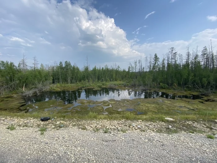 Беларусь - Магадан на велосипеде. 9.700 из 11.000 км. Часть 5 Республика Беларусь, Магадан, Велосипед, Путешествия, Якутск, Лена, Колыма, Длиннопост