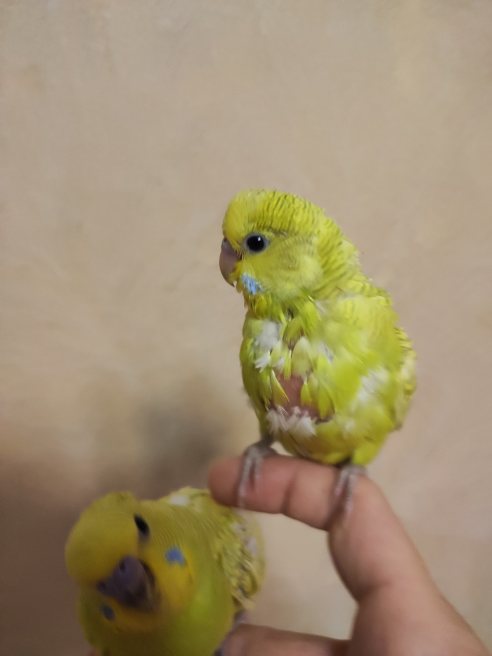   , , , 