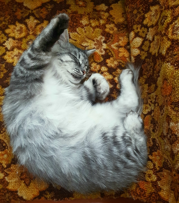  , -, , 